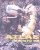 Ebook Atlas côn trùng Việt Nam (Tập 1: Côn trùng gây hại và thiên địch của chúng trên cây thực phẩm): Phần 1