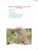 Bài giảng Sinh thái vi sinh vật: Chương 6 - TS. Nguyễn Xuân Cảnh
