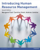 Ebook Introducing human resource management (Seventh edition) - Margaret Foot, Caroline Hook, Andrew Jenkins