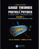 Ebook Gauge theories in particle physics (Vol 1 - 4/E): Part 1