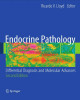 Ebook Endocrine pathology: Differential diagnosis and molecular advances (Second edition)