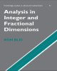 Ebook Analysis in integer and fractional dimensions: Part 2